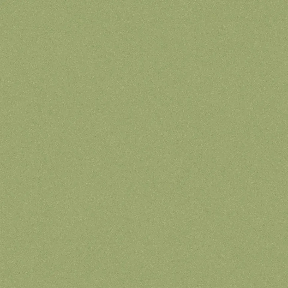 Линолеум Tarkett ACCZENT PRO aspect-9